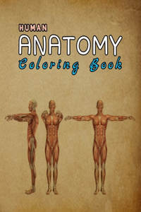 Human Anatomy Coloring Book