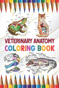 Veterinary Anatomy Coloring Book