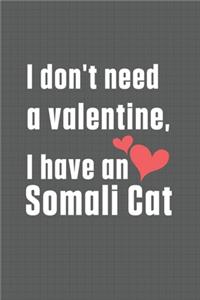 I don't need a valentine, I have a Somali Cat