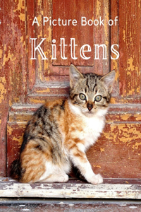 Picture Book of Kittens