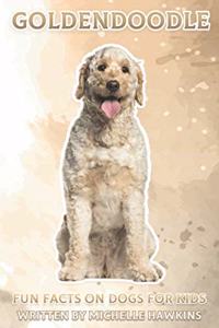 Goldendoodle