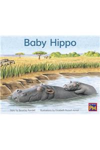 Baby Hippo