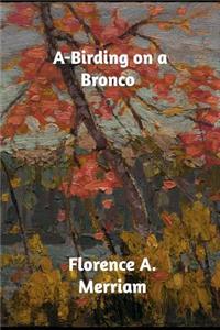 A-Birding on a Bronco