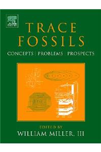 Trace Fossils