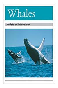 Whales