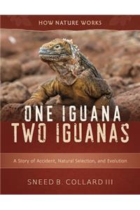 One Iguana, Two Iguanas