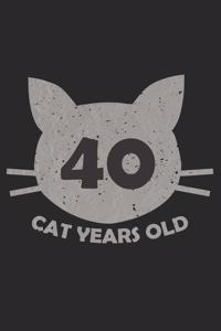 40 Cat Years Old