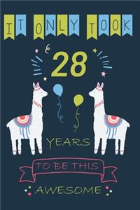It Only Took 28 Year to be this Awesome