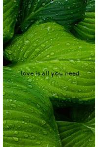 Love is all you need