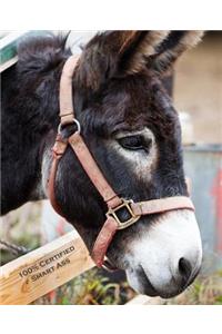 100% Certified Smart Ass