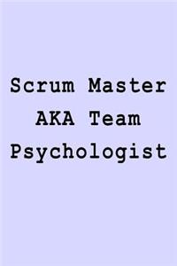 Scrum Master AKA Team Psychologist