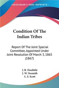 Condition Of The Indian Tribes