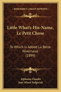 Little What's-His-Name, Le Petit Chose