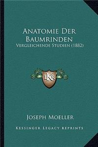 Anatomie Der Baumrinden