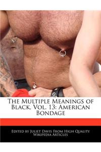 The Multiple Meanings of Black, Vol. 13