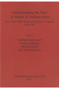 Understanding the Past: a Matter of Surface-Area