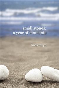 Small Stones: a Year of Moments