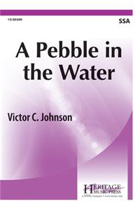 A Pebble in the Water