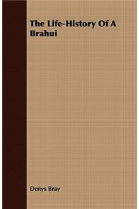 The Life-History Of A Brahui