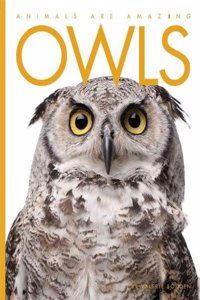 Animals Are Amazing: Owls