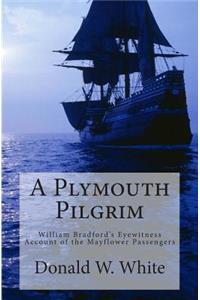 A Plymouth Pilgrim