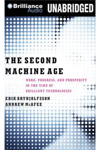 The Second Machine Age