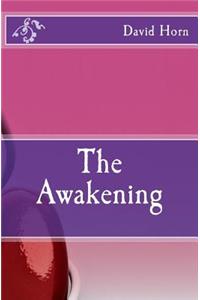 Awakening