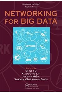 Networking for Big Data