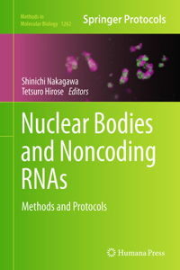 Nuclear Bodies and Noncoding Rnas