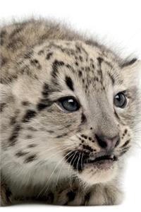 Snow Leopard Notebook & Journal. Productivity Work Planner & Idea Notepad