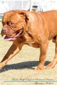 French Mastiff (Dogue de Bordeaux) Affirmations Workbook French Mastiff (Dogue de Bordeaux) Presents: Positive and Loving Affirmations Workbook. Includes: Mentoring Questions, Guidance, Supporting You.