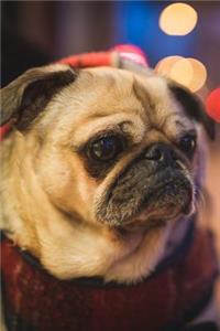 City Lights Pug: 150 page lined 6? x 9? notebook/diary/journal