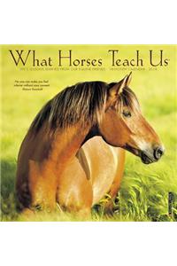 What Horses Teach Us Mini 2019 Wall Calendar