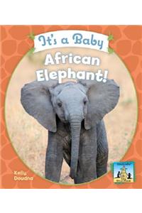 It's a Baby African Elephant!