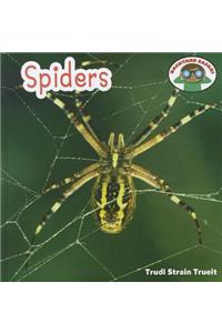 Spiders