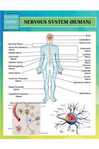 Nervous System (Human) (Speedy Study Guides)