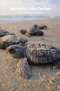 Adorable Little Turtles Full-Color Picture Book