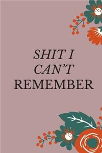 Shit I Can't Remember