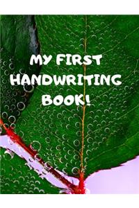 My First Handwriting Book!