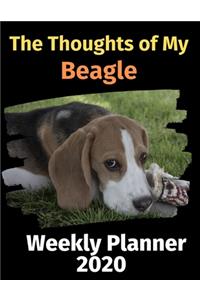 The Thoughts of My Beagle