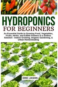 Hydroponics for Beginners