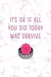 It's Ok If All You Did Today Was Survive