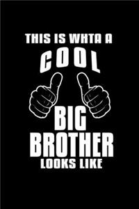 This is what a cool big brother looks like