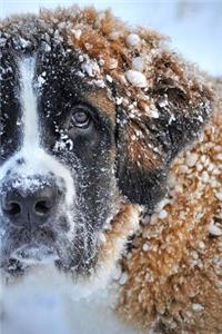 Saint St Bernard Dog Covered in Snow Journal