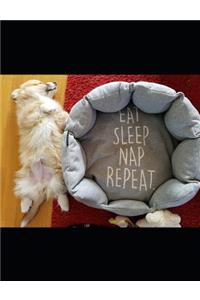 Eat Sleep Nap Repeat Corgi