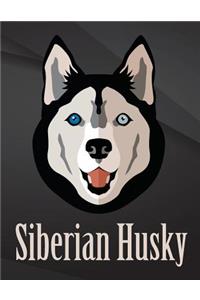 Siberian Husky dog