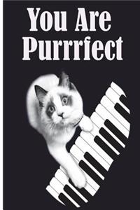 You Are Purrrfect