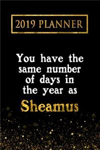 2019 Planner: You Have the Same Number of Days in the Year as Sheamus: Sheamus 2019 Planner