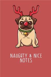 Naughty & Nice Notes