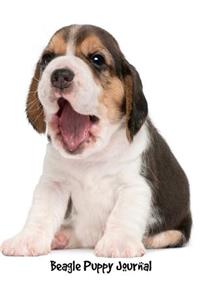 Beagle Puppy Journal